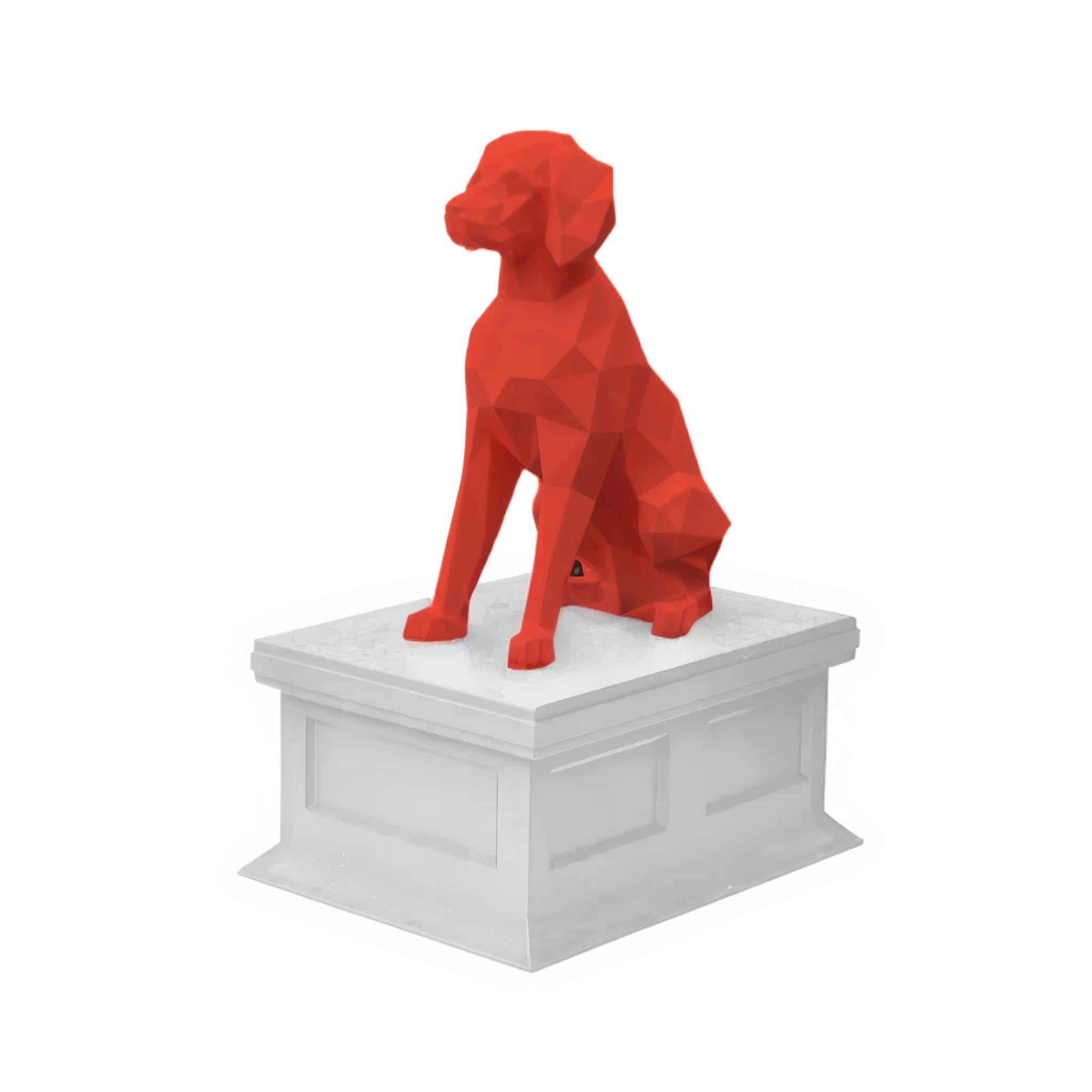 Brittany Spaniel