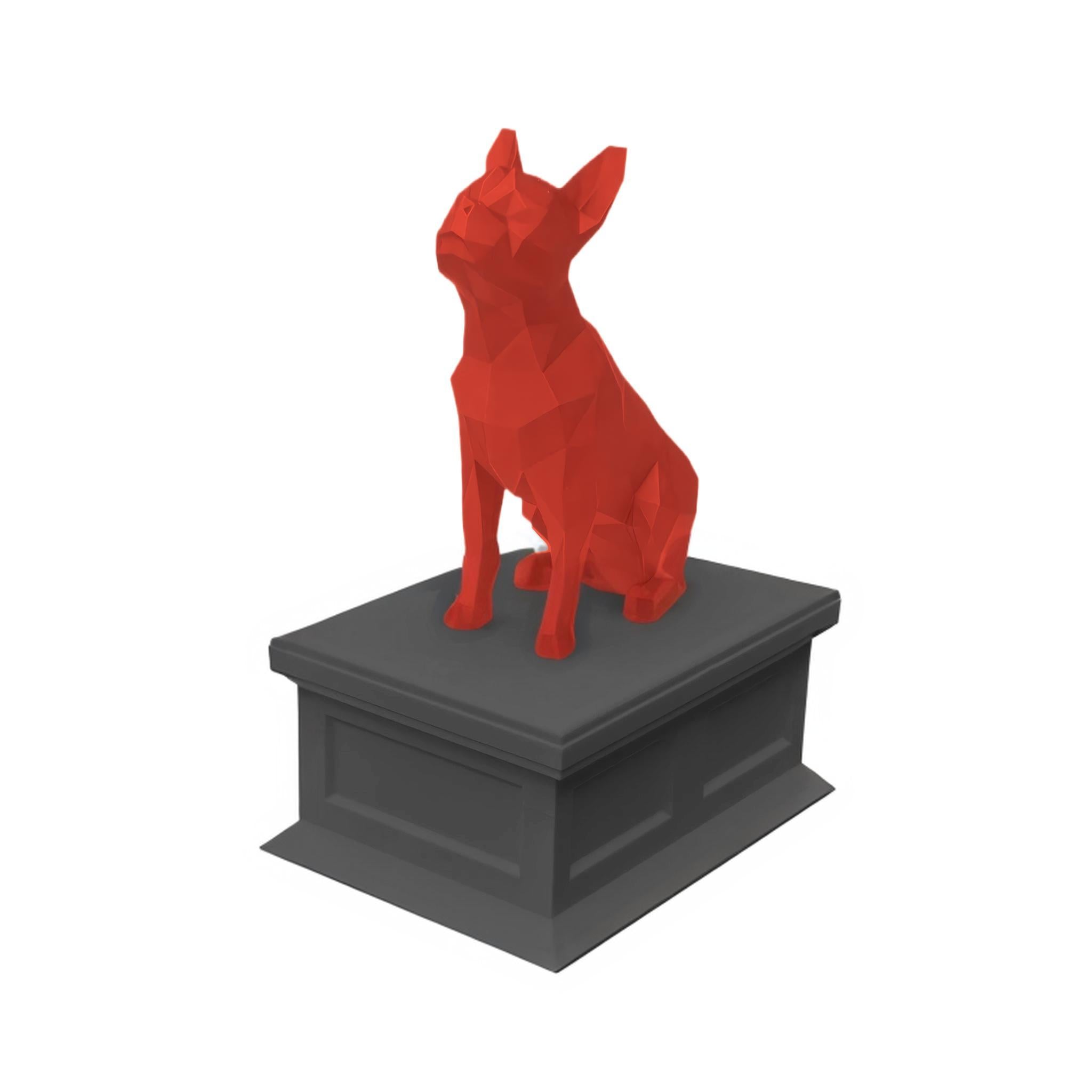 Boston Terrier