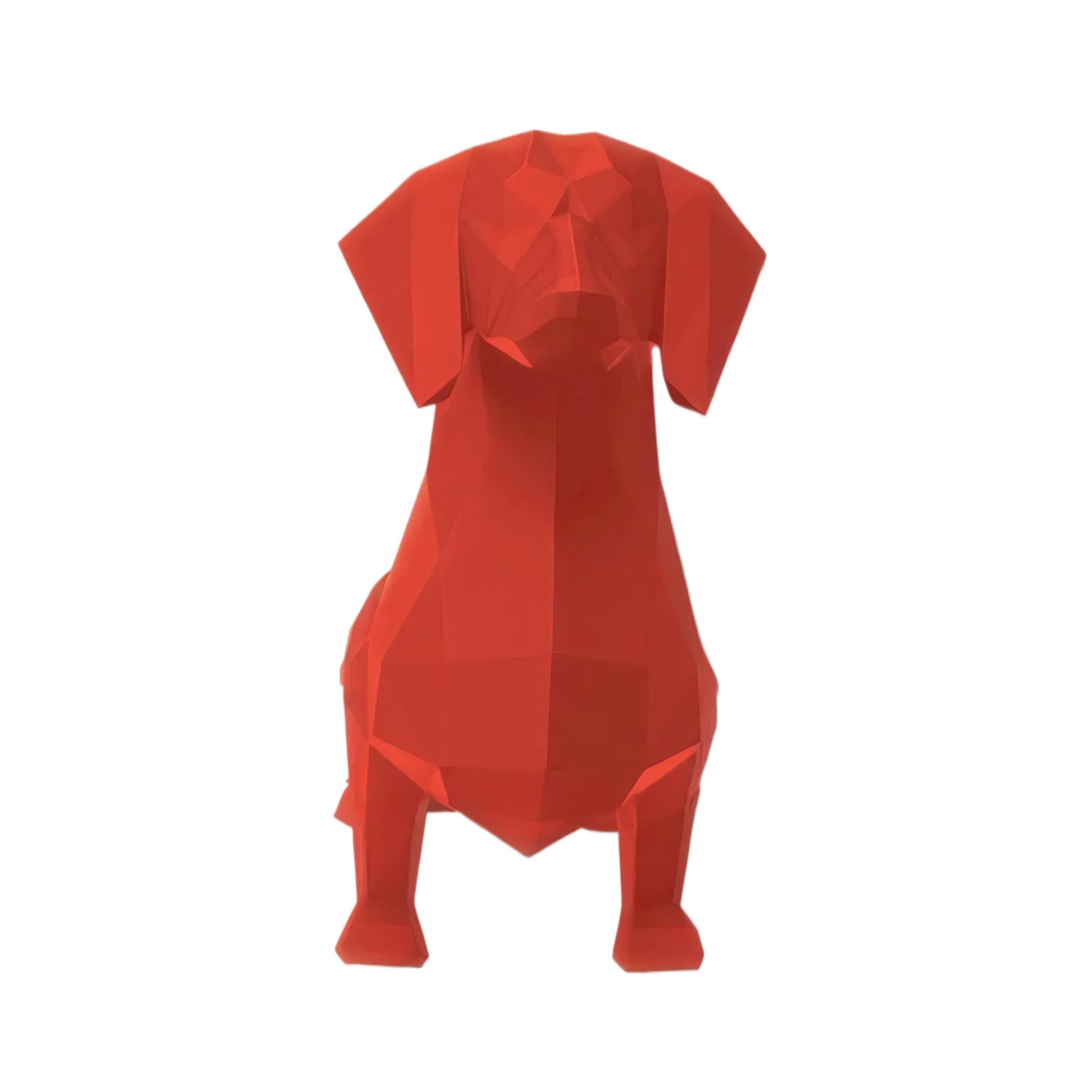Dachshund