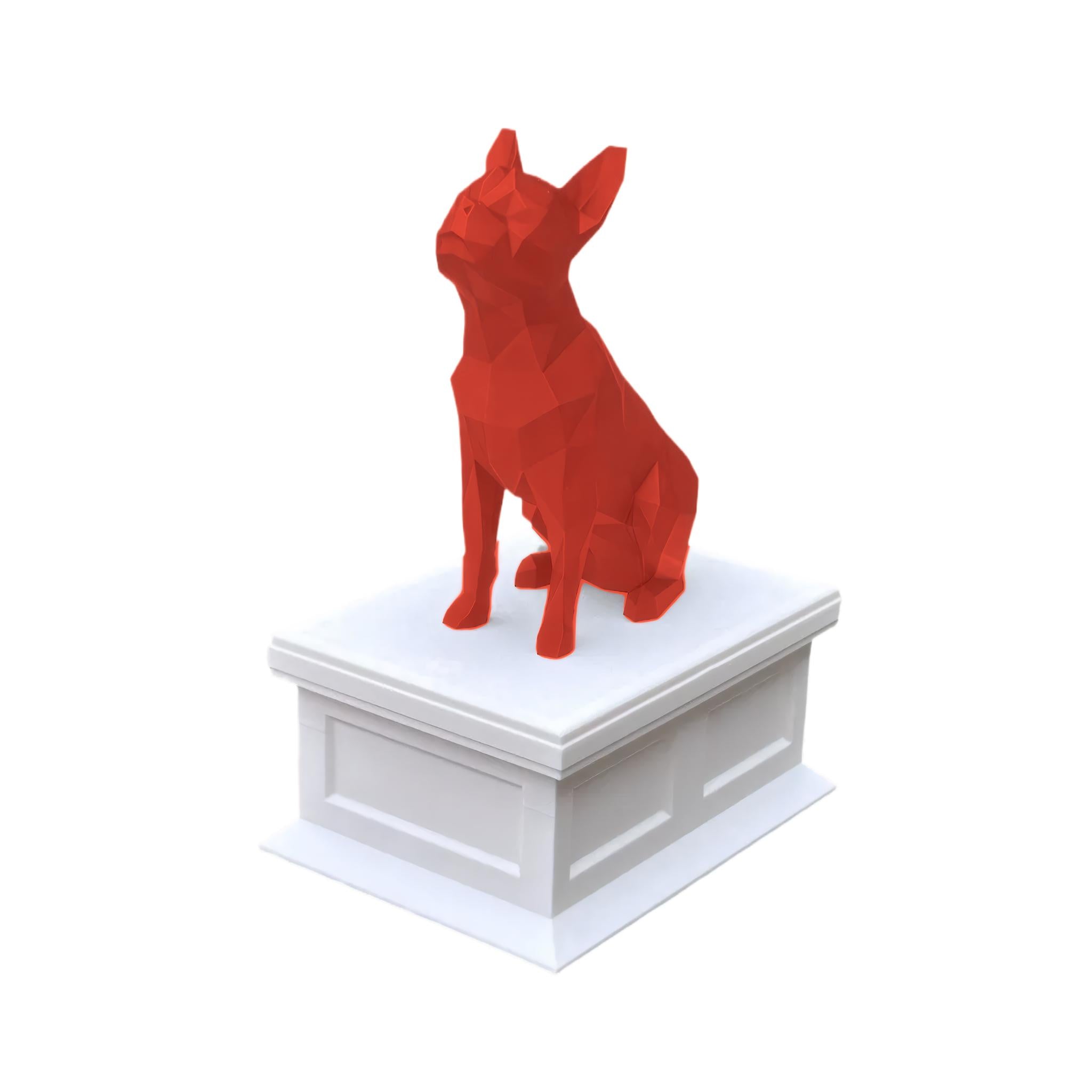 Boston Terrier