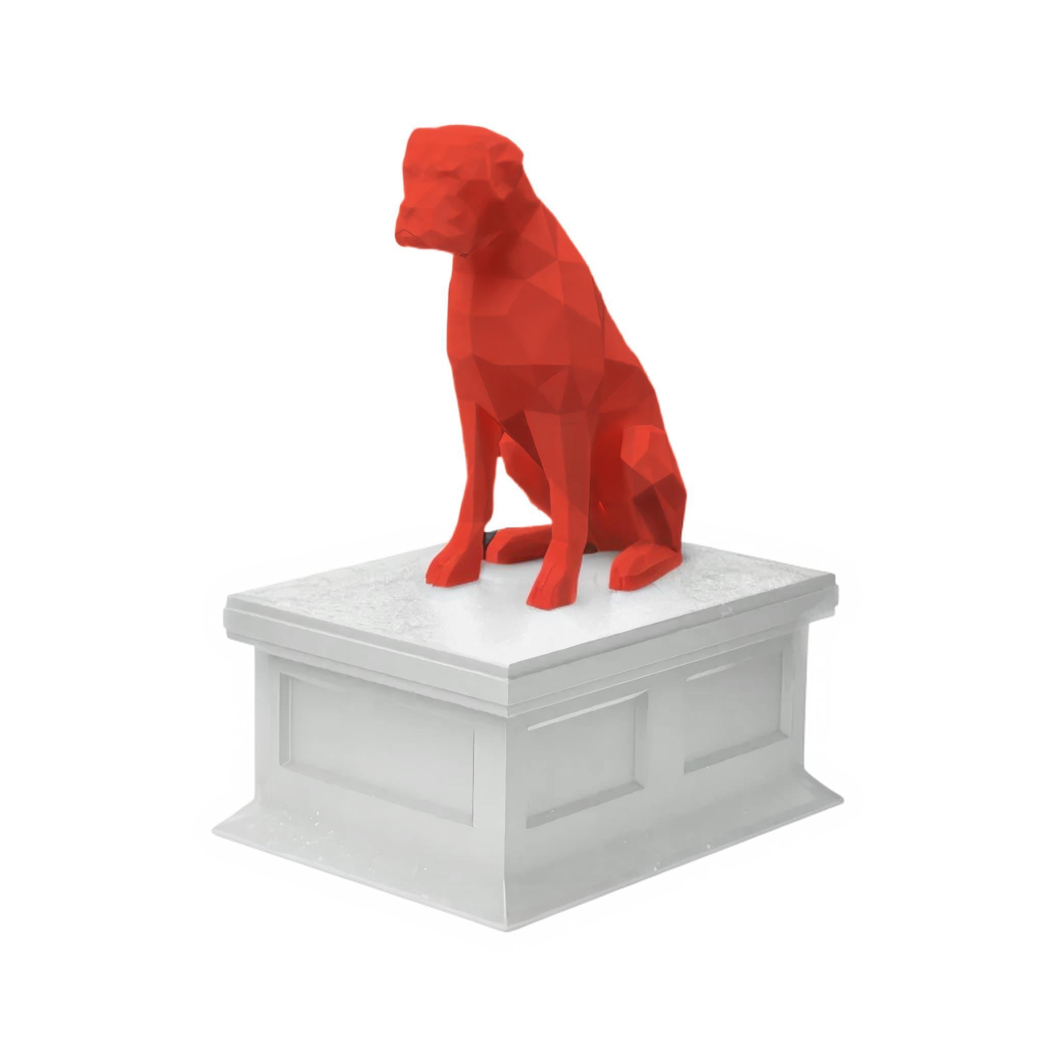 Boxer
