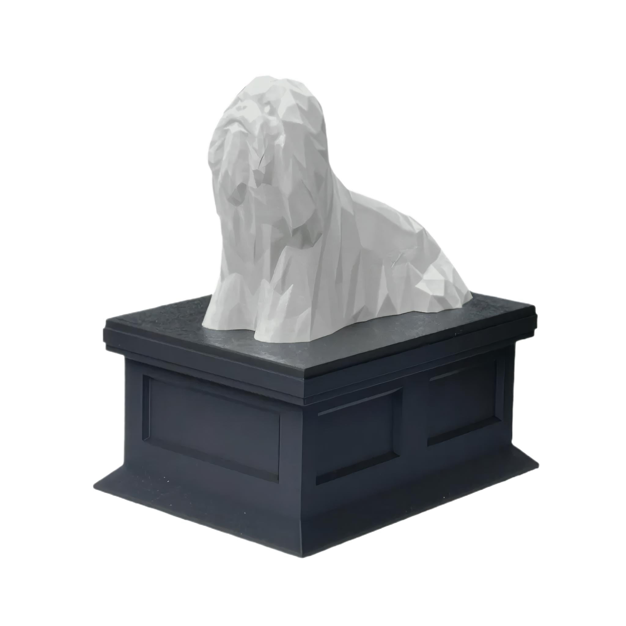 Lhasa Apso