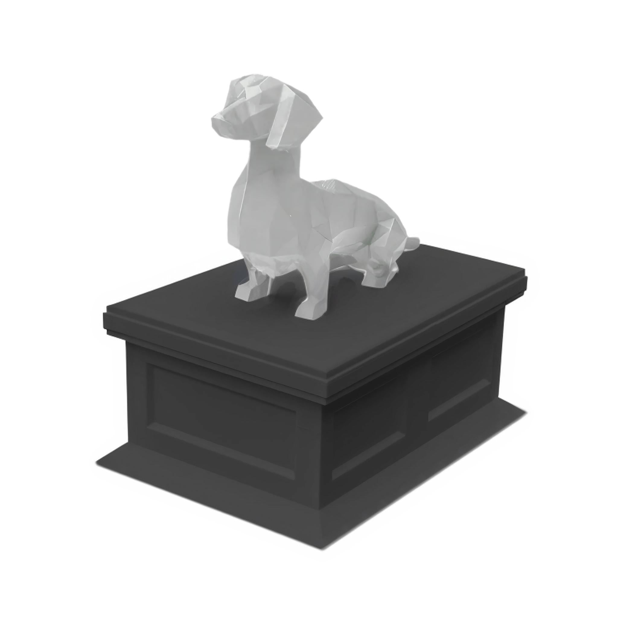 Dachshund