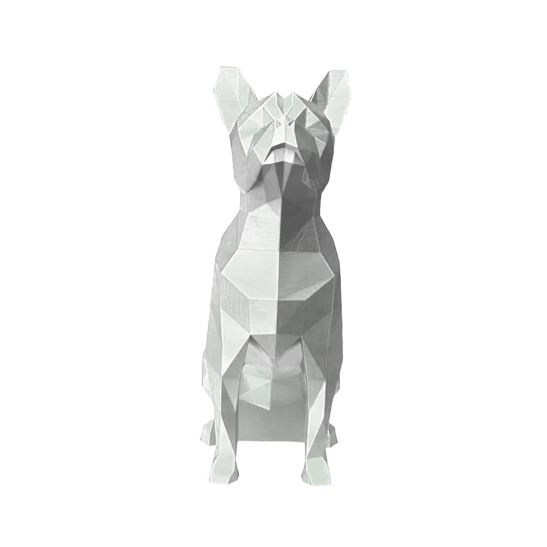 Boston Terrier