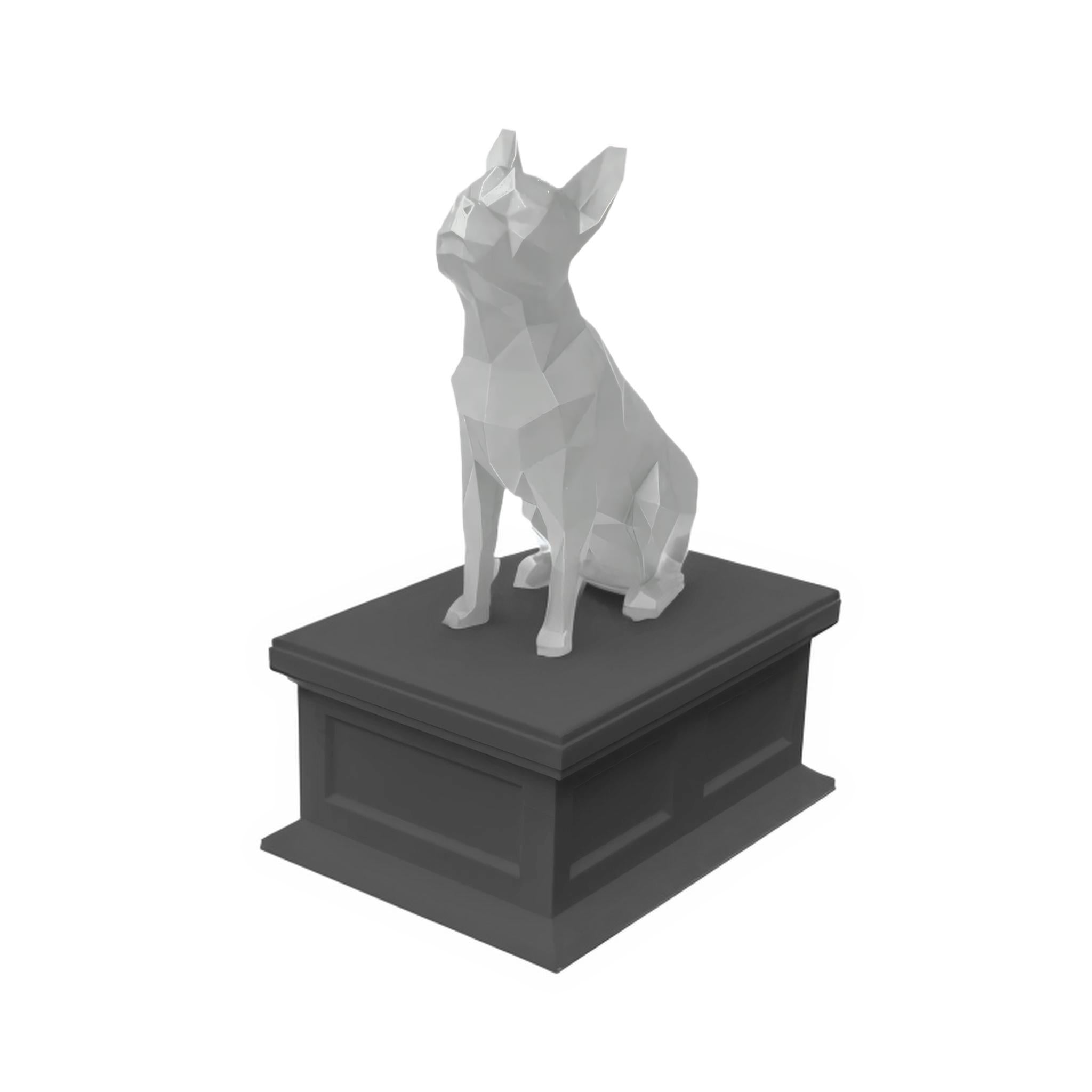 Boston Terrier