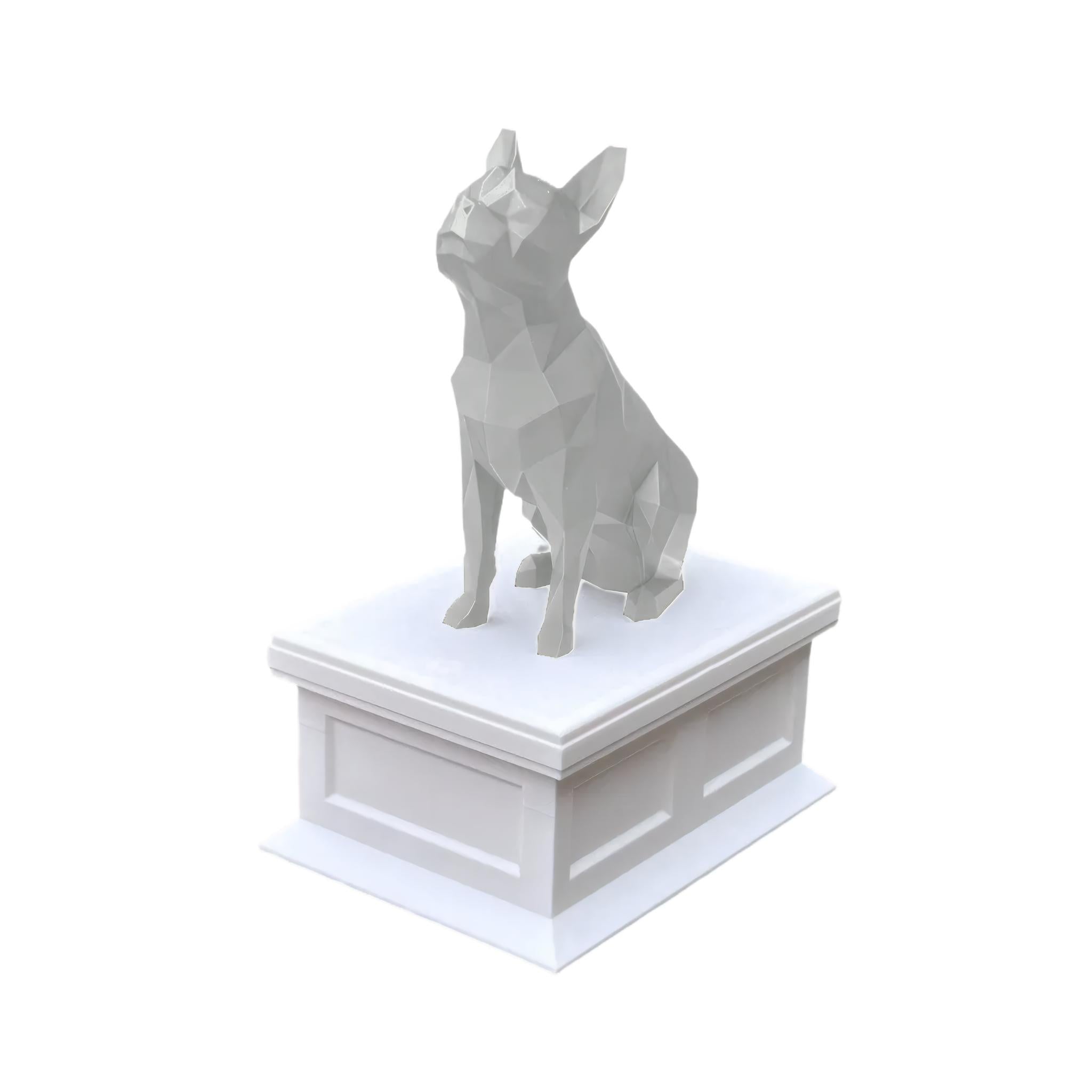 Boston Terrier