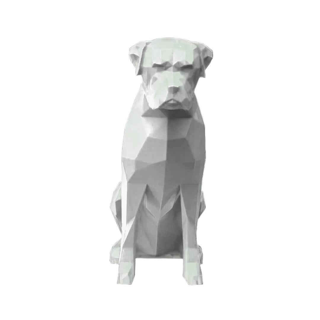 Boxer
