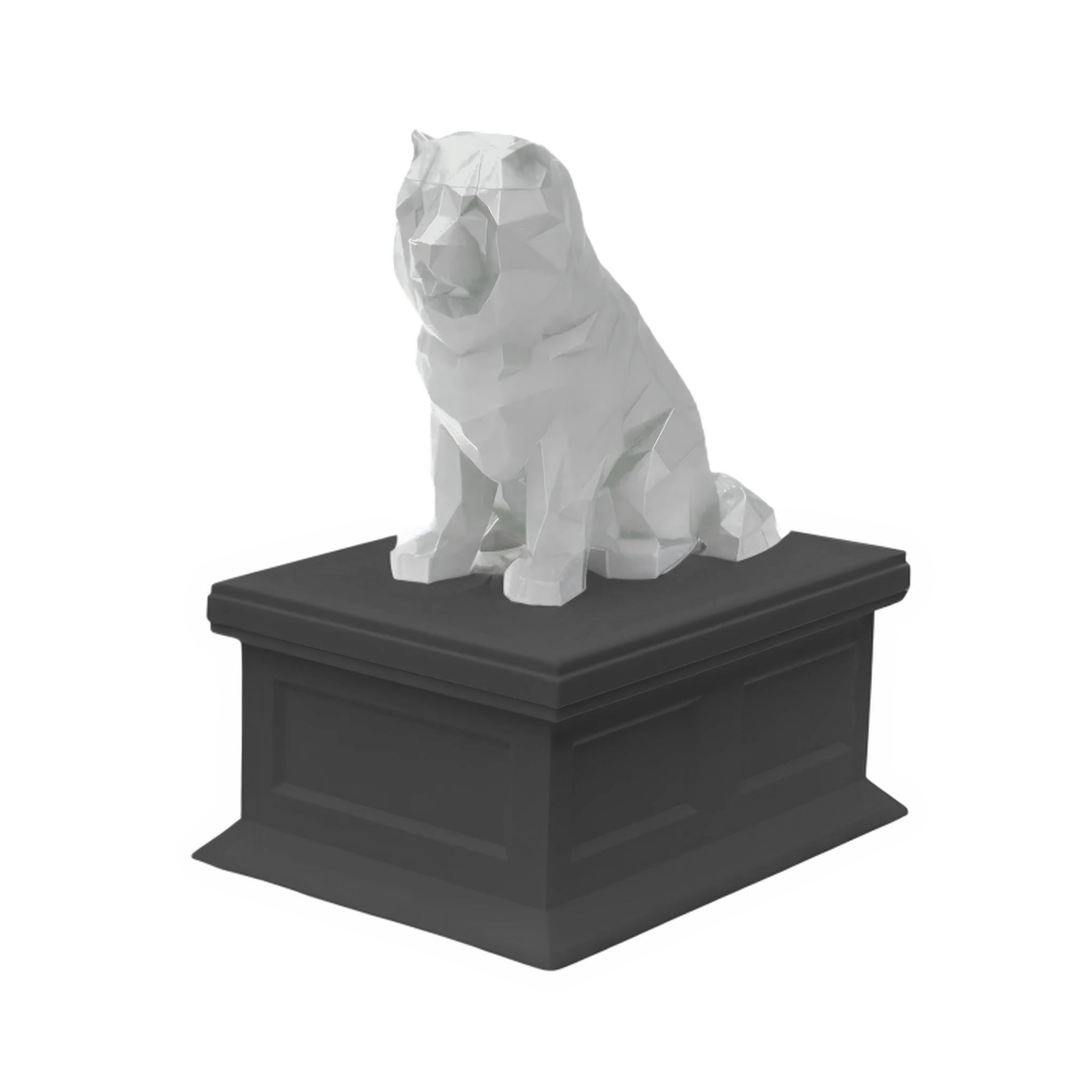 Chow Chow