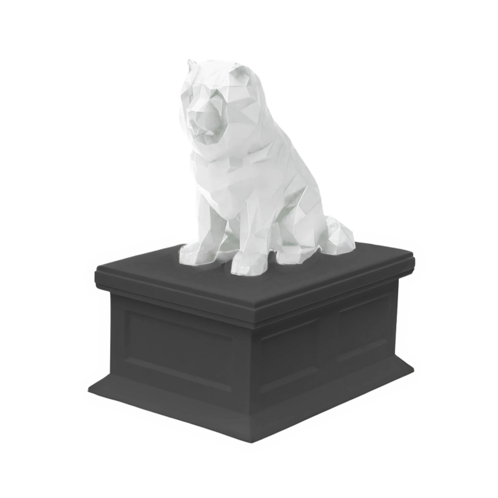 Chow Chow