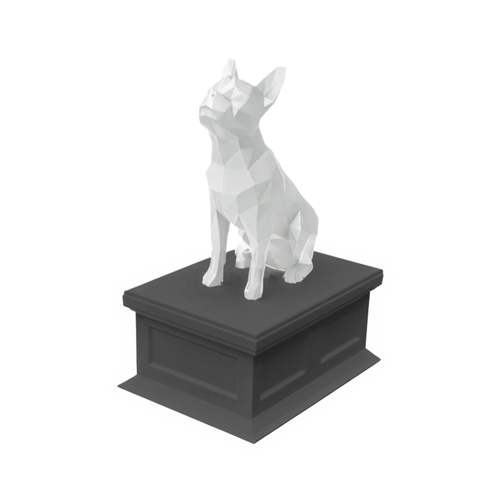 Boston Terrier