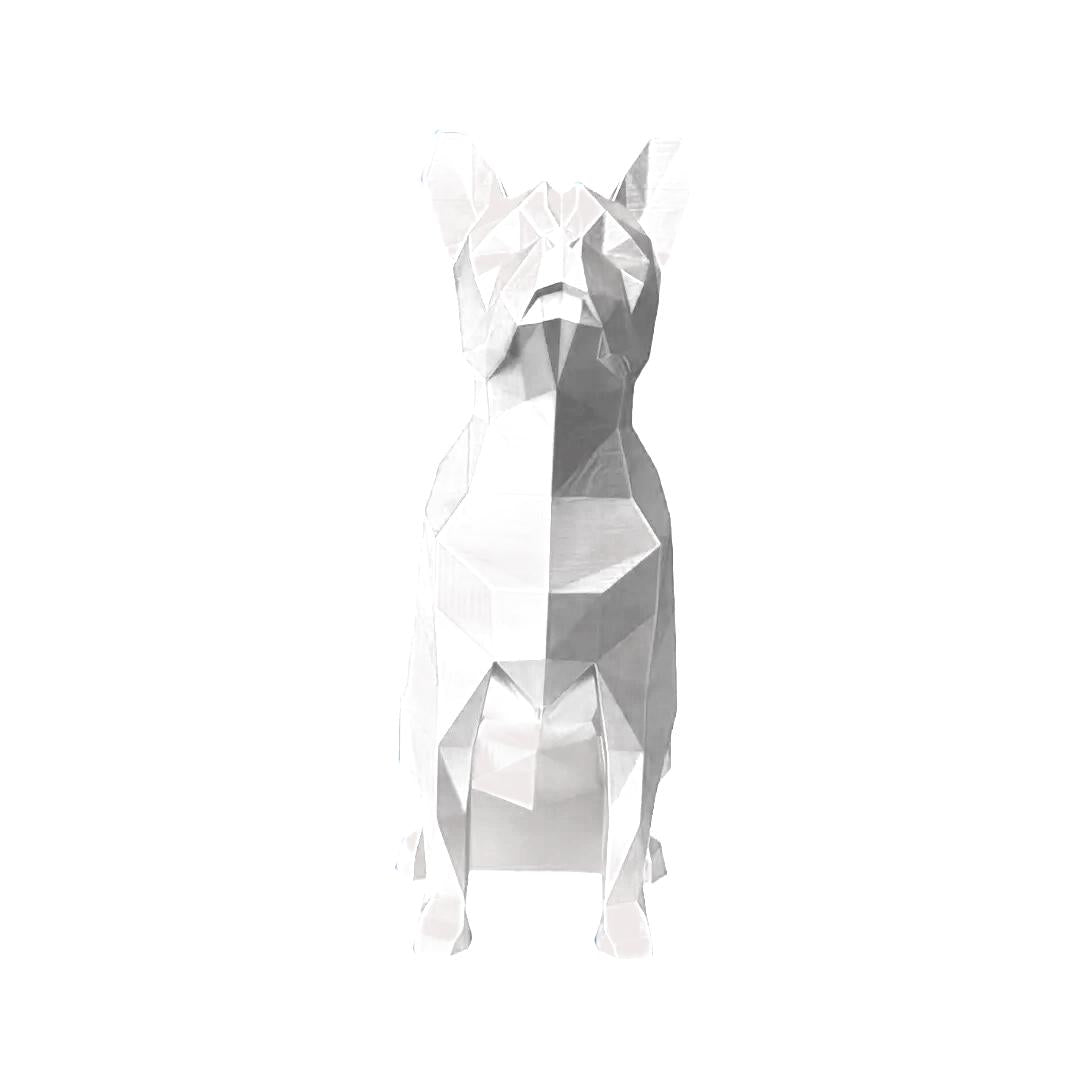 Boston Terrier