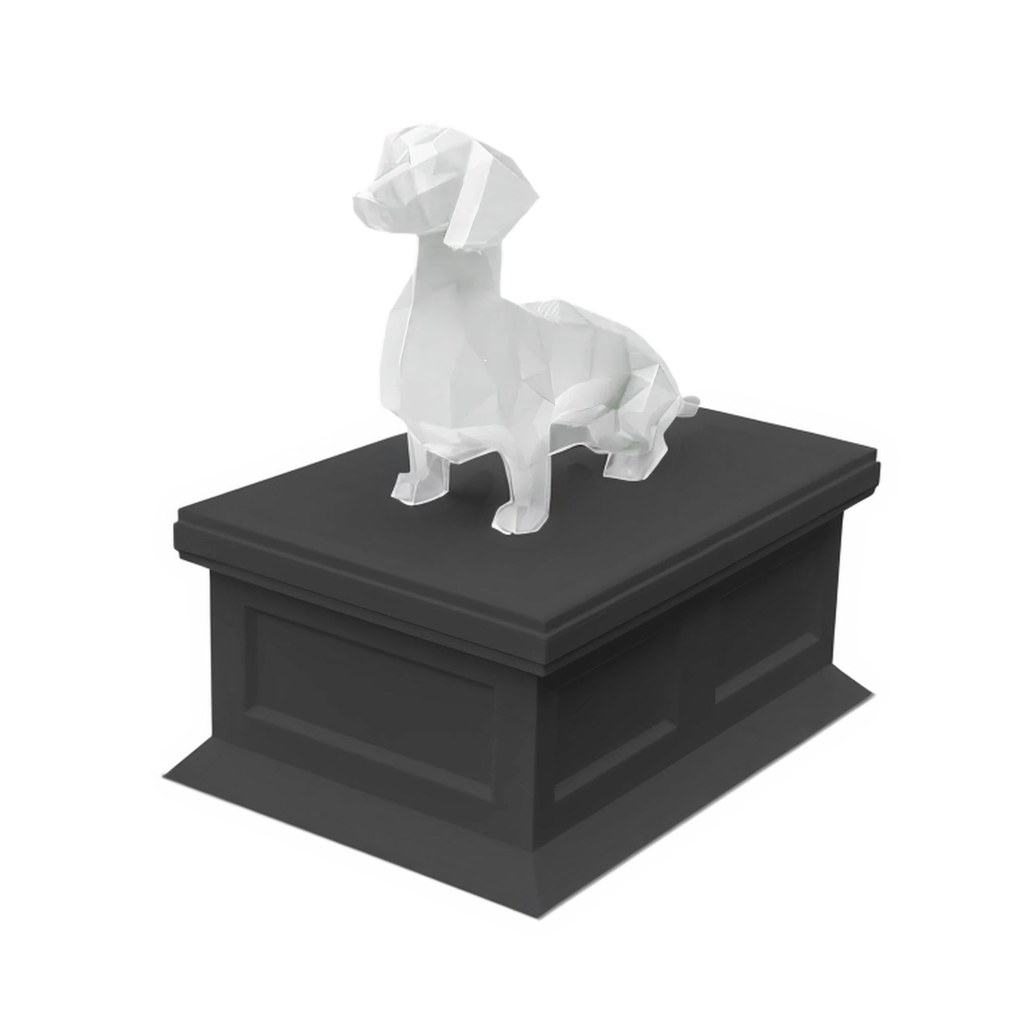 Dachshund