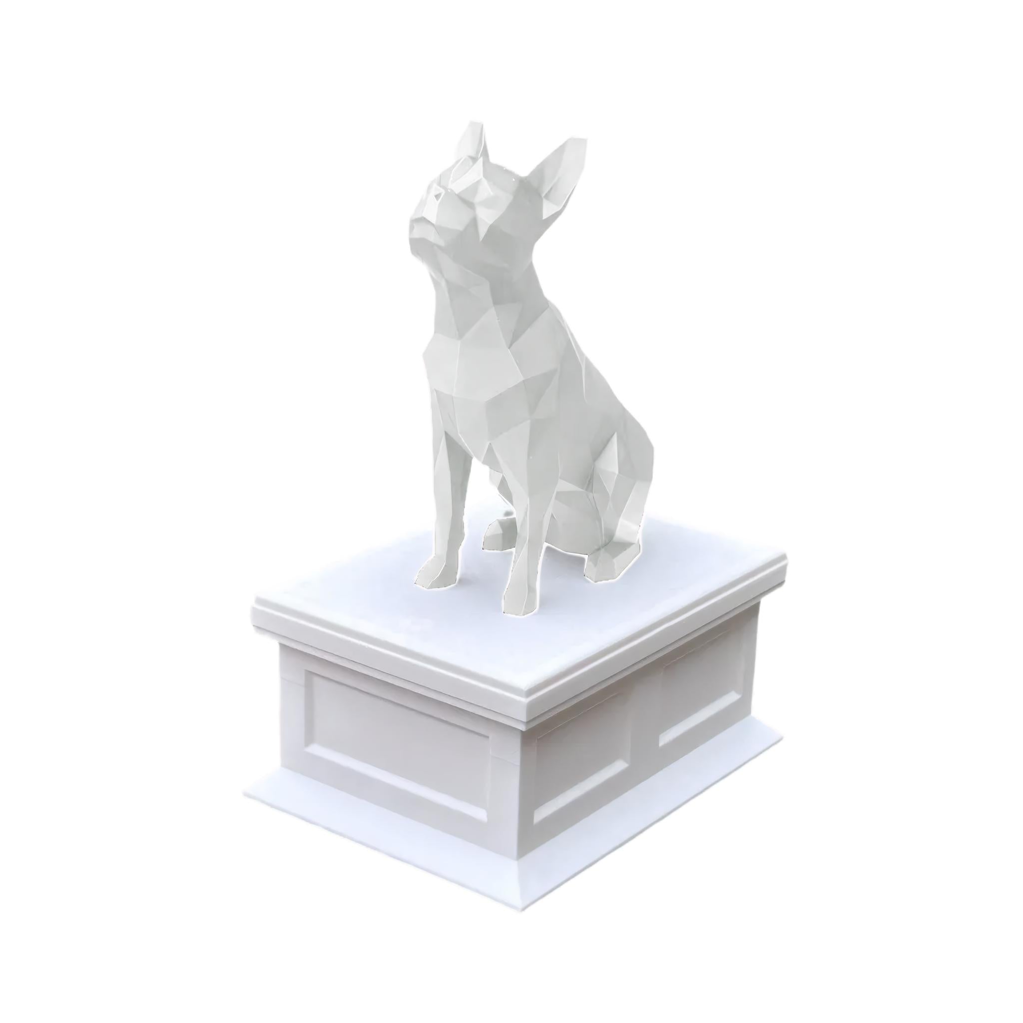 Boston Terrier