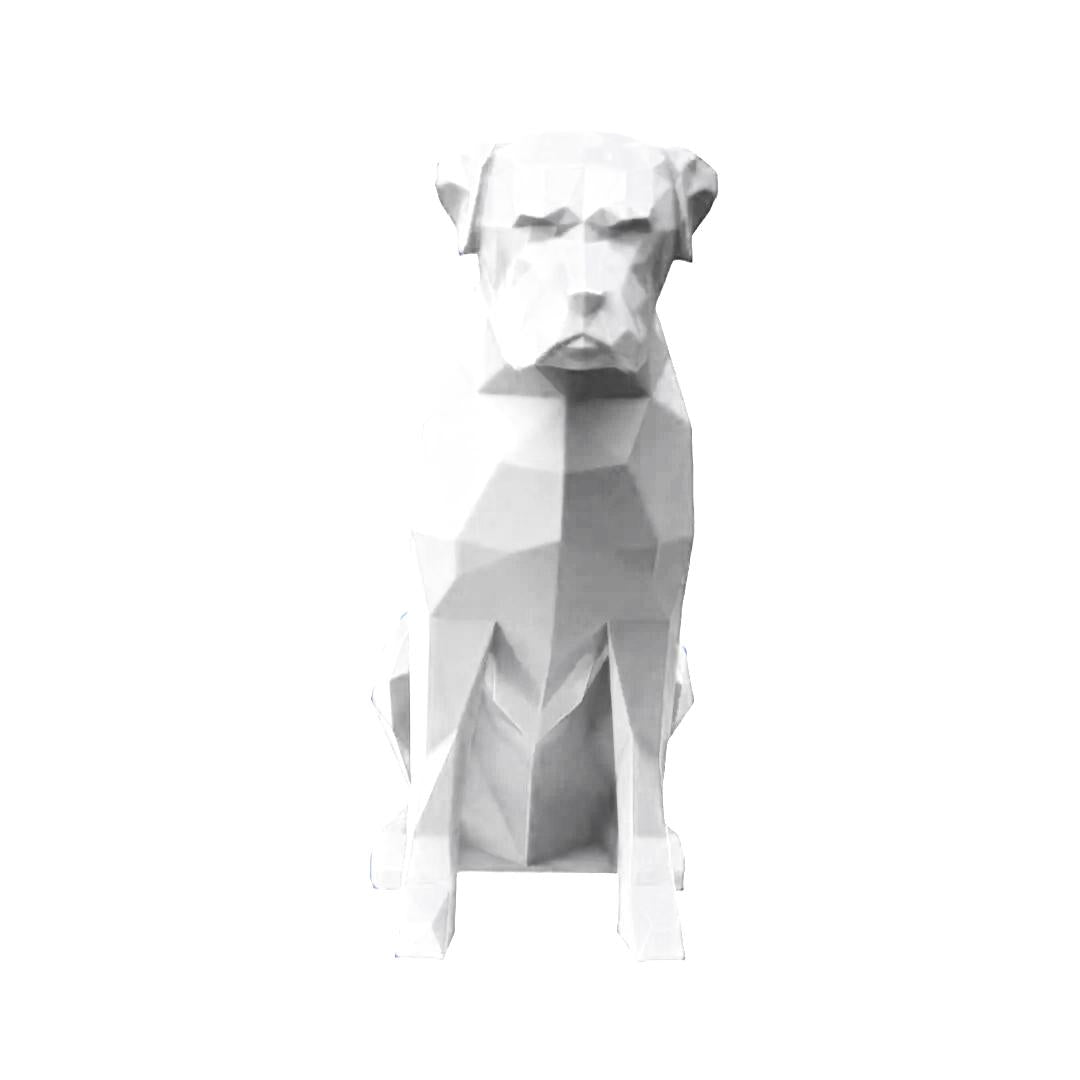 Boxer