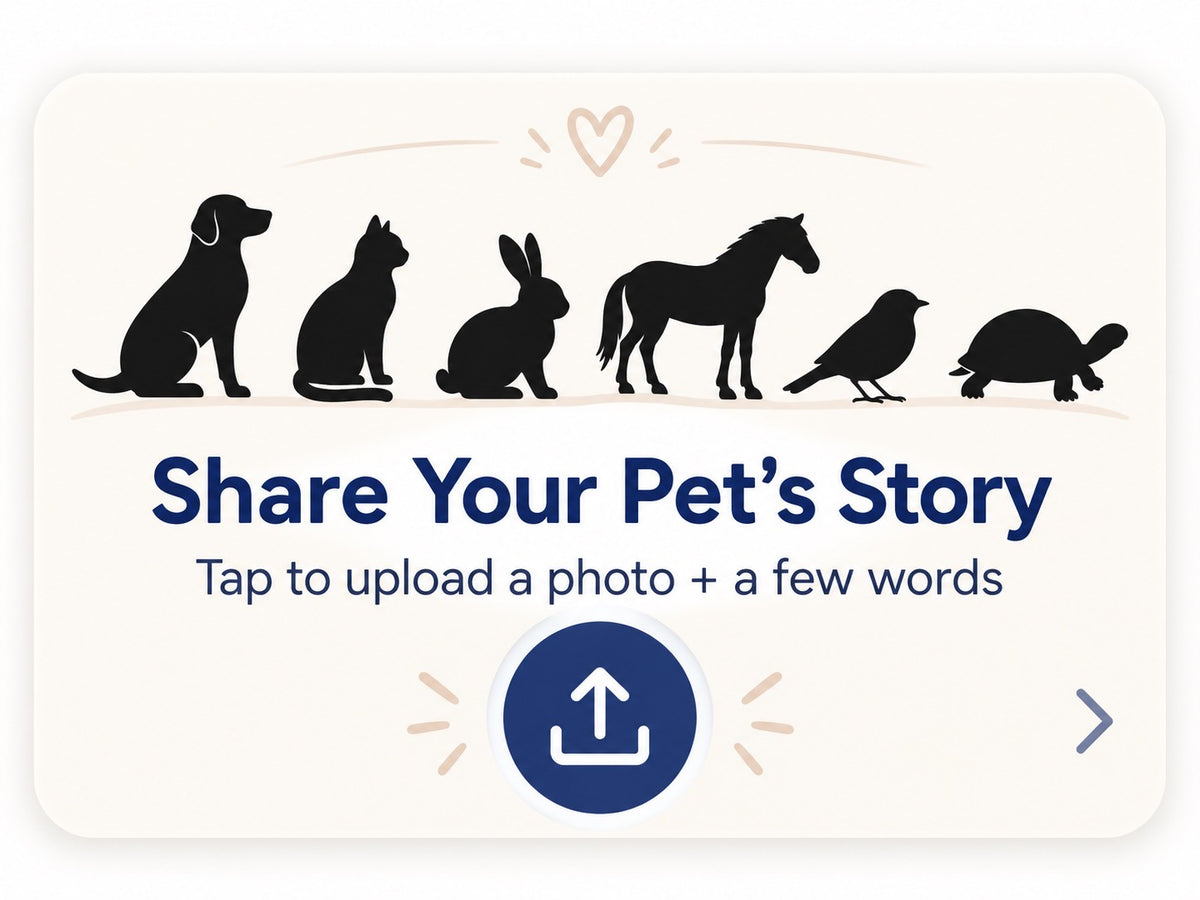 Share Your Pet's Story