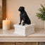 white vault black Rottweiler custom pet urn