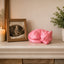 pink Cat resting Pet Capsule custom Urn
