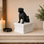 white vault black pug custom pet urn