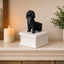 white vault black Shih Tzu custom pet urn