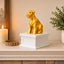white vault gold Schnauzer pet urn