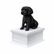 white vault black maltese pet urn