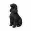 Cocker Spaniel