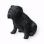 English Bulldog