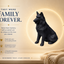 Black Shetland Shephard Custom Pet Urn
