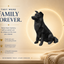 Black Border Collie Custom Pet Urn