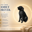 Golden Retriever Capsule Pet Urn