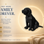 Black Beagle Custom Pet Urn