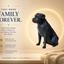 Black Rottweiler Custom Pet Urn