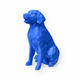 blue Golden Retriever Pet Urn