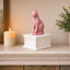 white vault pink cat custom pet urn