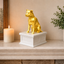 TEST Pitbull Memorial Urn
