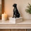 white vault black great dane custom pet urn