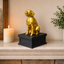 black vault gold golden retriever custom pet urn