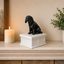 white vault black cavalier king charles spaniel custom pet urn