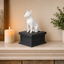 black vault white bull terrier custom pet urn