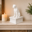 white vault white boxer pet urn