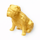 Gold English Bulldog Pet Urn