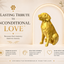 Golden Retriever Capsule Pet Urn