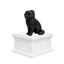 Scottish Fold Cat Vault Pet Urn