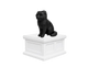 Scottish Fold Cat Vault Pet Urn