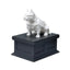 American Bulldog