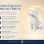 White Mini-Golden Doodle Custom Pet Urn