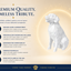 Golden Retriever Capsule Pet Urn