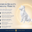 White Border Collie Custom Pet Urn