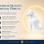 White Bull Terrier Custom Pet Urn