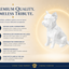 White Yorkshire Terrier Custom Pet Urn